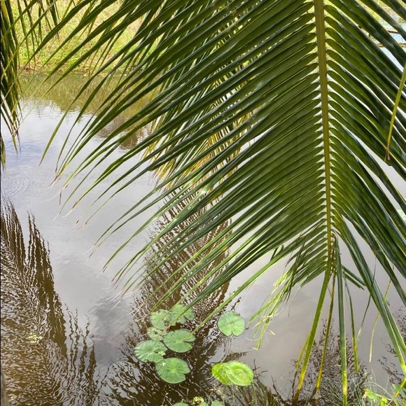 Meet your Posher, Nalini - Picture 1 of 1